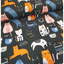 Jersey Katzenalltag