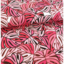 Jersey Pink Monstera