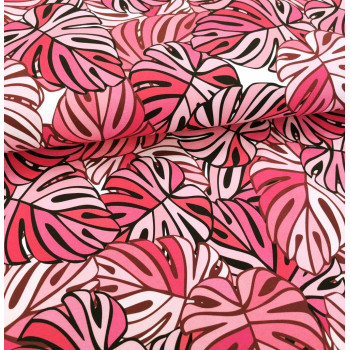 Jersey Pink Monstera