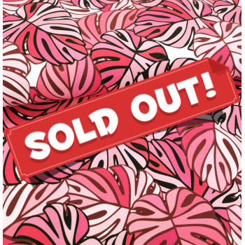 Jersey Pink Monstera