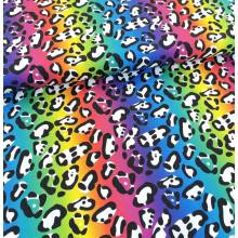 Jersey Leo Rainbow Stripes