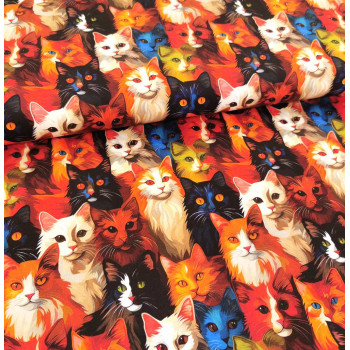 Jersey Miau