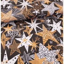 Popeline Sparkling Stars