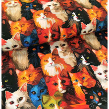 Sommersweat Miau