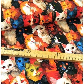 Sommersweat Miau