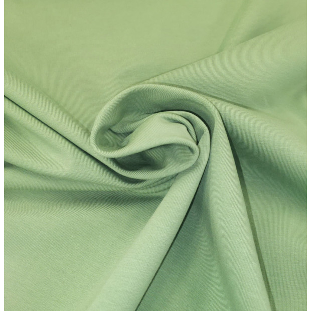 Biostoffe.at Jersey mint green, kbA, GOTS, Meterware