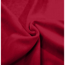 Nicki red dahlia