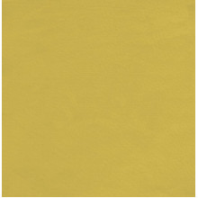 Popeline warm olive