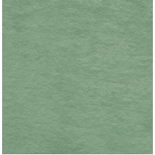 Strickfrottee green bay