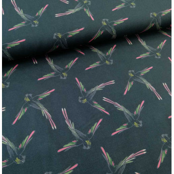 Voile Papageien