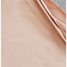Jersey rose