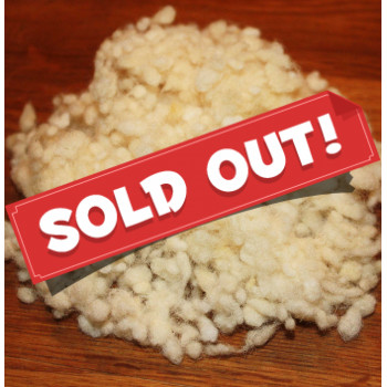 Schafwoll-Kügelchen