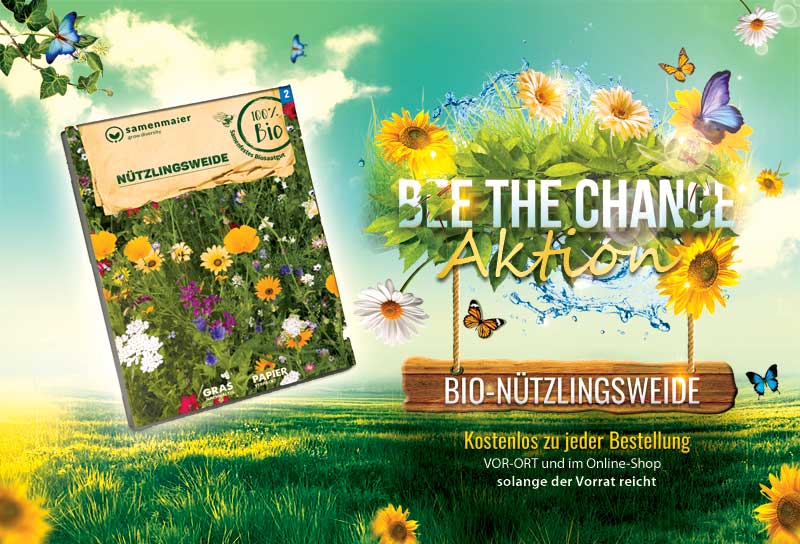 Bee the change